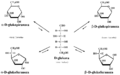Formy cykliczne i łańcuchowa D-glukozy.png