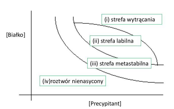 Plik:Diagram fazowy dla hipotetycznego białka w funkcji stężenia precypitanta.png
