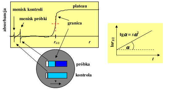 Plik:Profil absorpcyjny dla eksperymentu szybkości sedymentacji.png