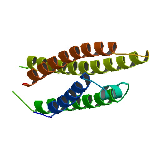 Plik:PBB Protein APOE.jpg