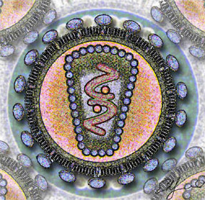 Plik:Human Immunodeficency Virus - stylized rendering.jpg