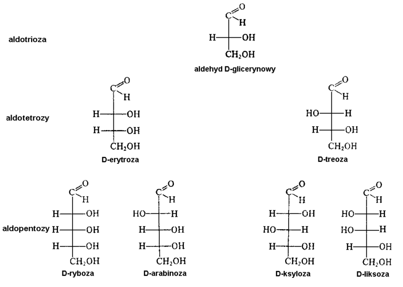 Plik:Wzory Fischera form łańcuchowych aldoz szeregu D o długości 3-5 atomów węgla w cząsteczce.png