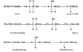 Addycja nukleofilowa związków aminowych do aldehydów.png