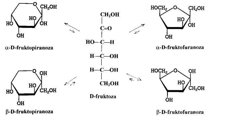 Plik:Formy cykliczne i łańcuchowa ketoheksozy — D-fruktozy.png