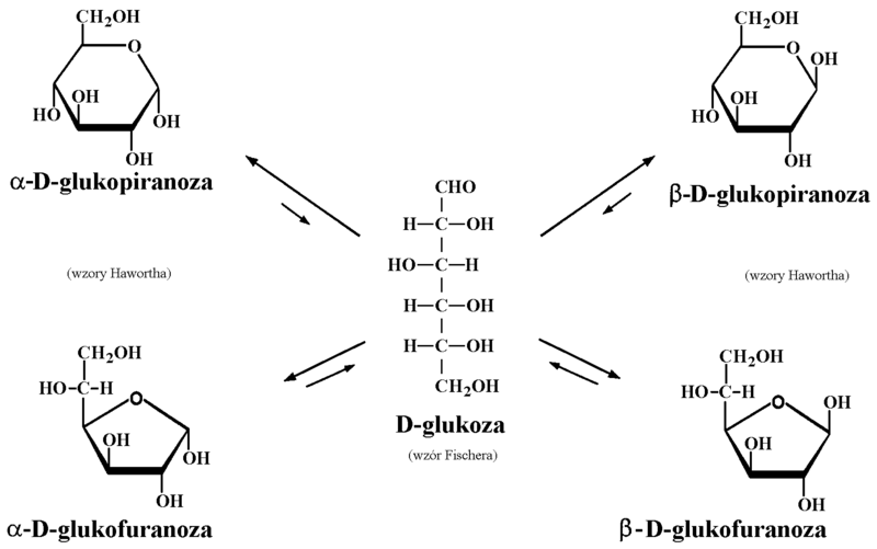 Plik:Formy cykliczne i łańcuchowa D-glukozy.png