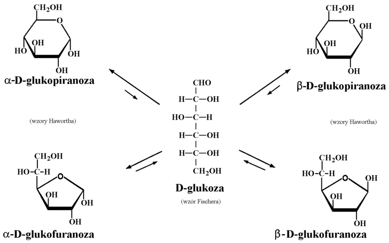 Jaki Jest Wzór Chemiczny Glukozy Chemia organiczna/Związki wielofunkcyjne – Brain-wiki