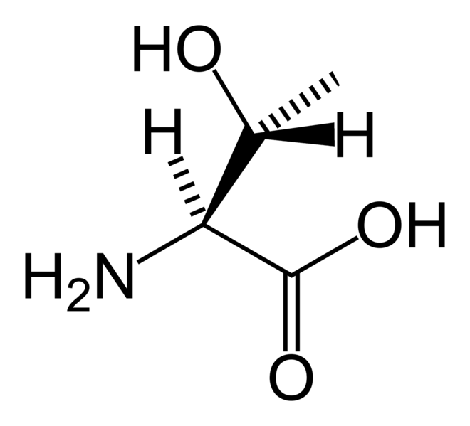 Plik:L-threonine-skeletal.png