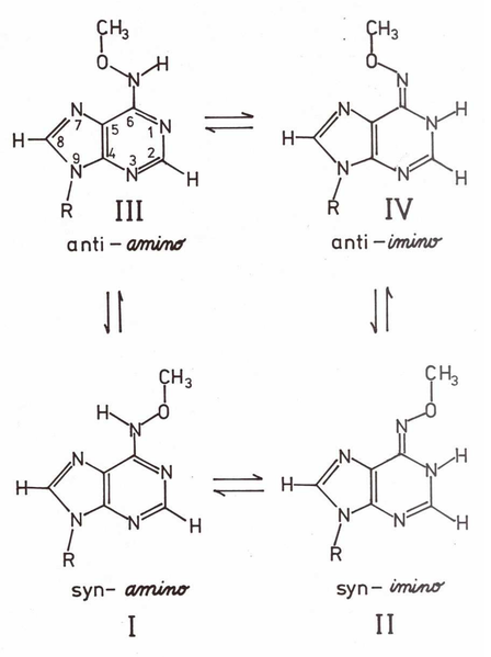 Plik:Równowaga tautomeryczna amino-imino.png