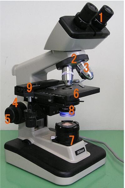 Plik:Mikroskop optyczny.jpg