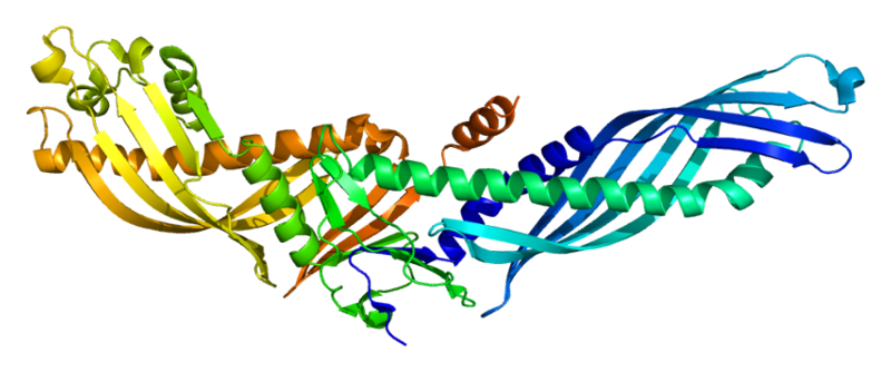 Plik:Protein CETP PDB 2obd.png