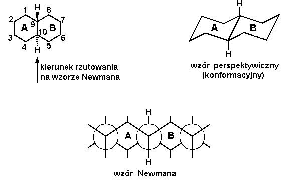 Plik:Budowa trans-dekaliny.png